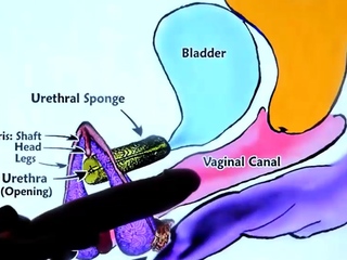 Hot blonde guy pounds petite Asian beauty in hardcore sex